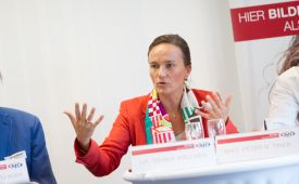 PR-Talk: Saskia Wallner (Geschäftsführerin Ketchum Publico). ©PRVA/Jana Madzigon